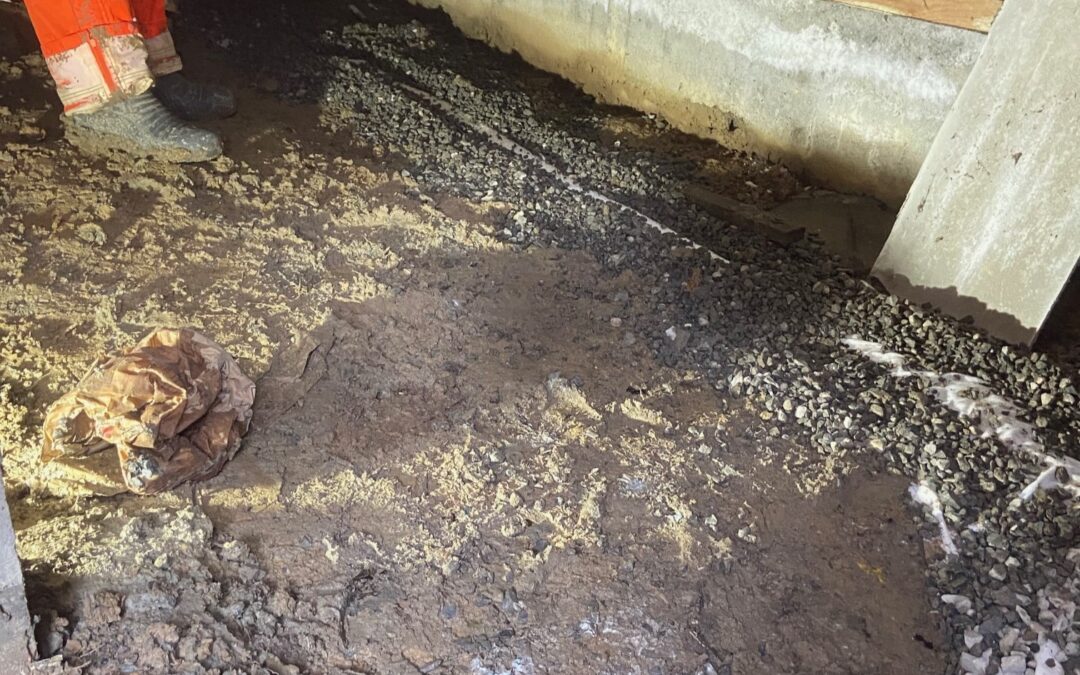 Work Report: Basement Water Seepage